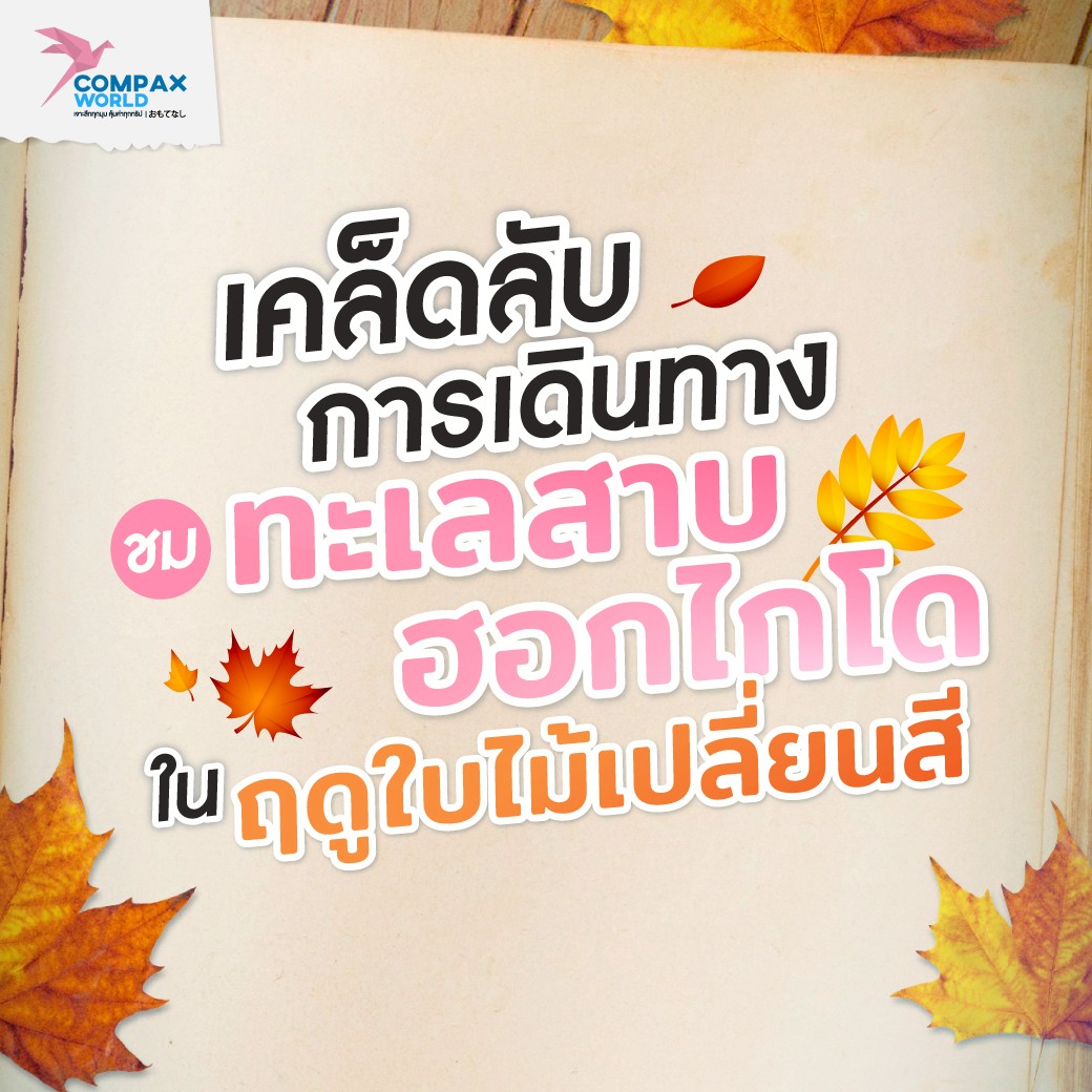 จุดชมวิว ทะเลสาบฮอกไกโด ในฤดูใบไม้เปลี่ยนสี